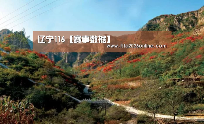 辽宁116【赛事数据】(图1) 比分更新
