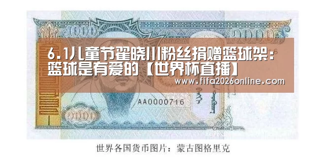 6.1儿童节翟晓川粉丝捐赠篮球架:篮球是有爱的【世界杯直播】(图2) 赛事数据