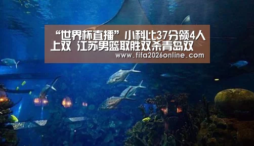 “世界杯直播”小科比37分领4人上双 江苏男篮取胜双杀青岛双星队(图2) 赛事数据
