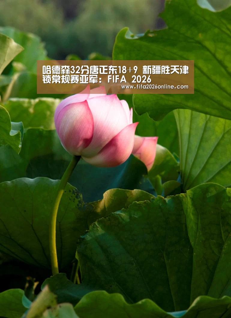 哈德森32分唐正东18+9 新疆胜天津锁常规赛亚军:FIFA 2026(图3) 赛事数据