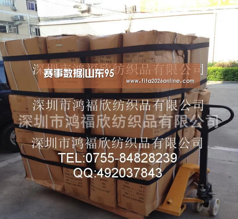赛事数据|山东95(图1) 赛事数据